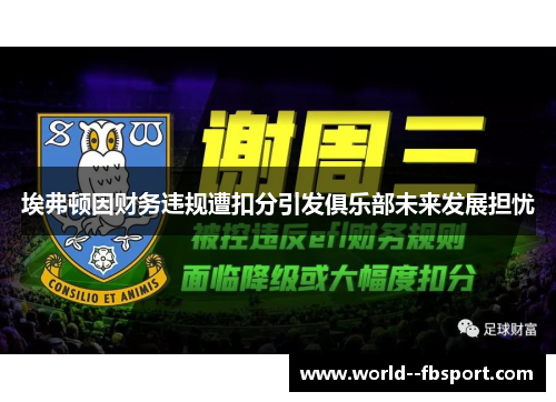 埃弗顿因财务违规遭扣分引发俱乐部未来发展担忧